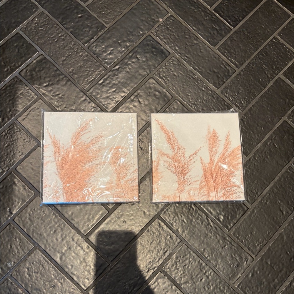 Set of 2 Boho Pampas Grass Wall Art Neutral Blush Decor